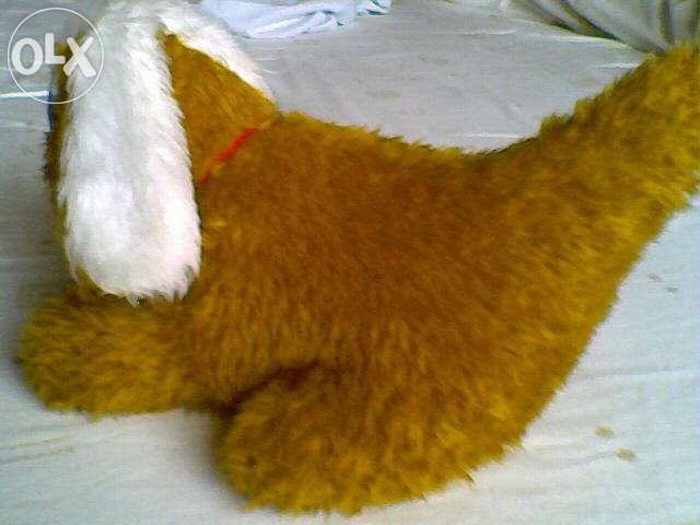 Cão de Peluche (como novo)