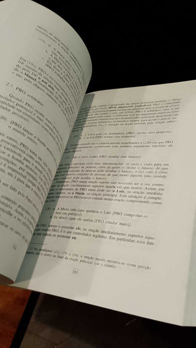 Teoria da Gramática. A Faculdade da Linguagem - Eduardo Paiva Raposo