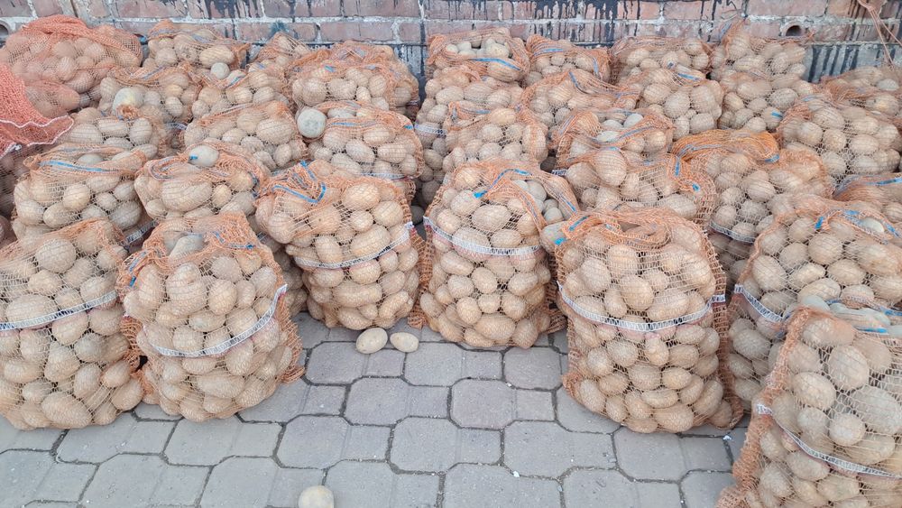 Ziemniaki ekologiczne Soraya