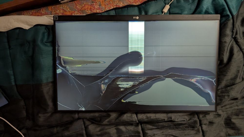 Монитор LG 24MK600M-W,Донор