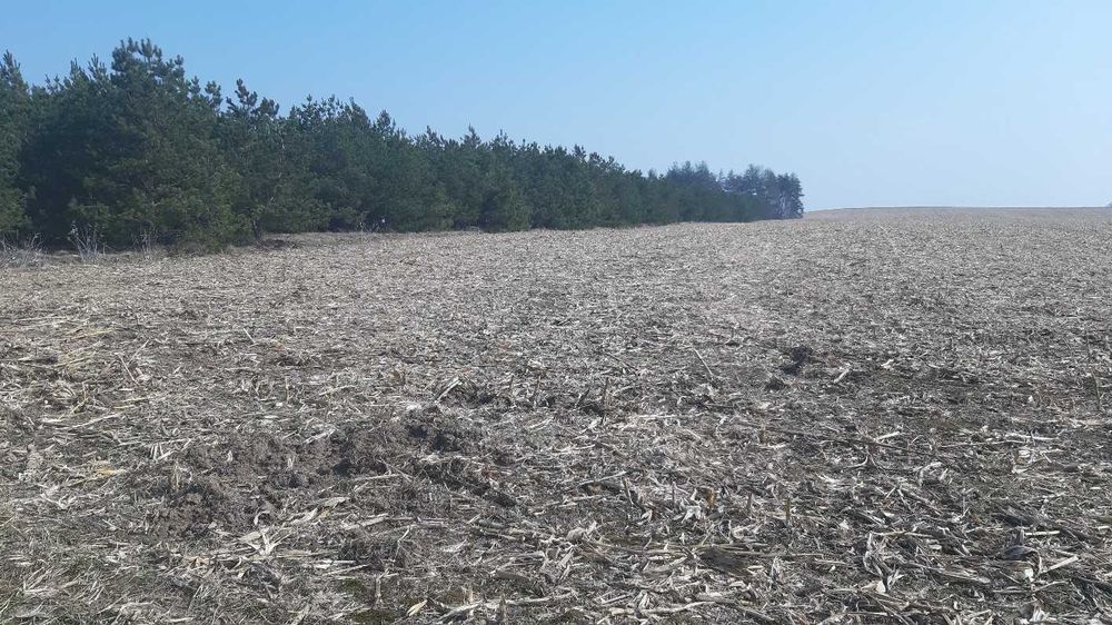 Земельна ділянка площею 2 га під ОСГ Вороньківська с/р