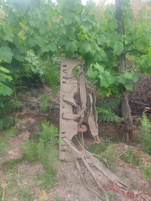 Jugo de bois antigo