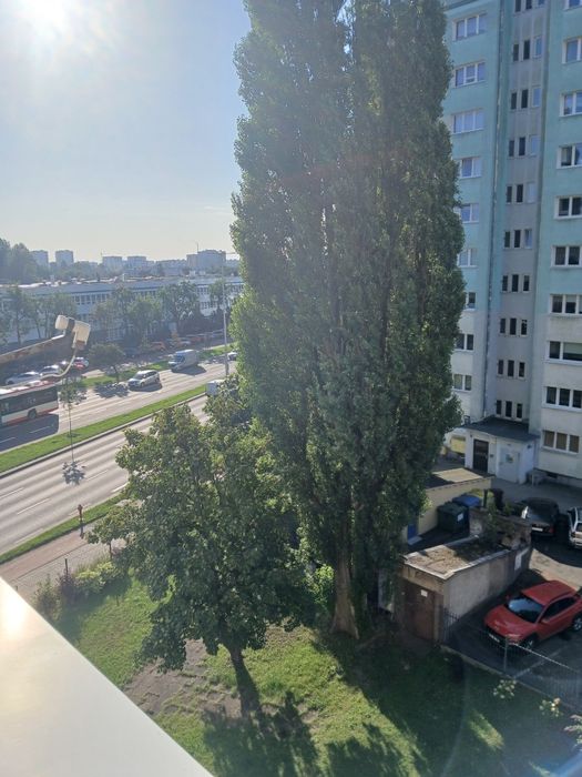 Zdjęcie 7