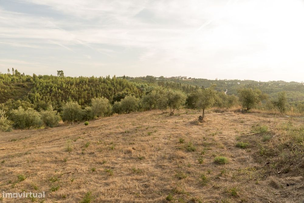 1.400 m² com potencial construtivo | Sertã – EN2 — Cumeada E Marmeleiro, Castelo Branco