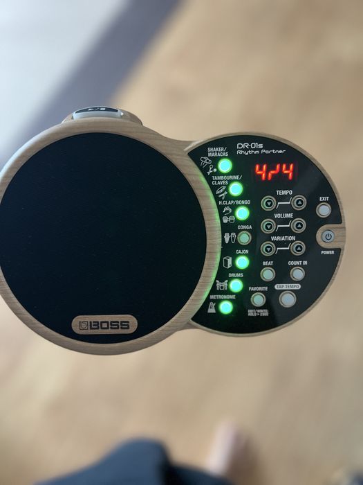 Boss DR-01S Rhythm Partner
