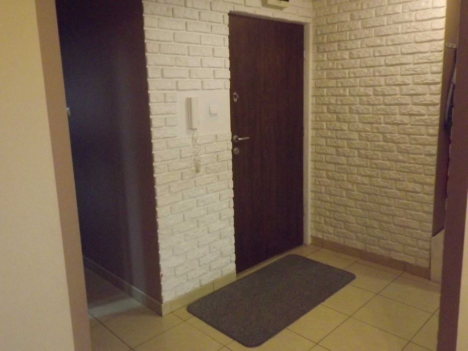 mieszkanie do wynajęcia 43m2
