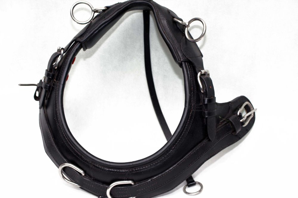 Chomąnto do zaprzęgu roz. shetty