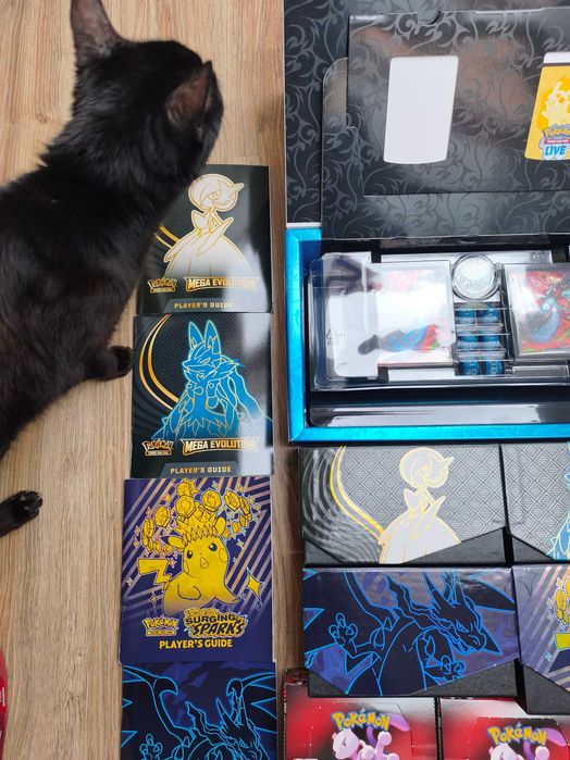 Zestaw Pokemon dla Klienta