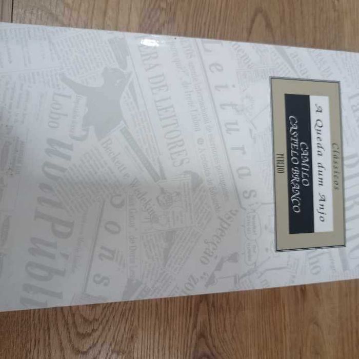vendo livro A queda de um anjo