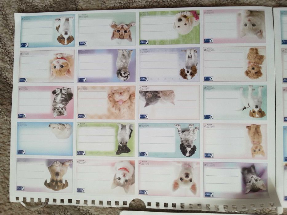 Plan lekcji naklejki na zeszyty koty