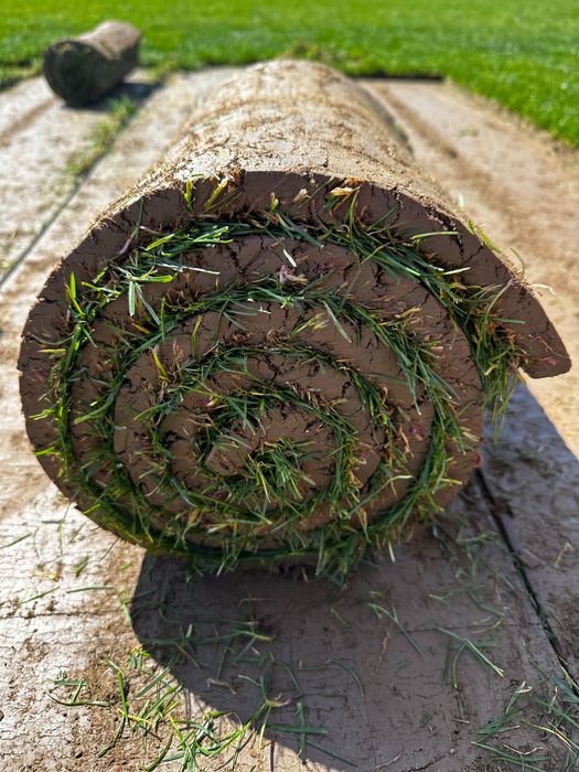 Рулоний газон, рулонна трава