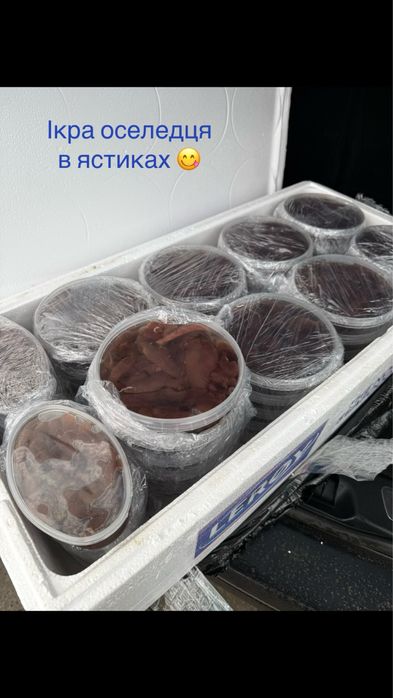 Ікра оселедця. Ястикова. Молоки
