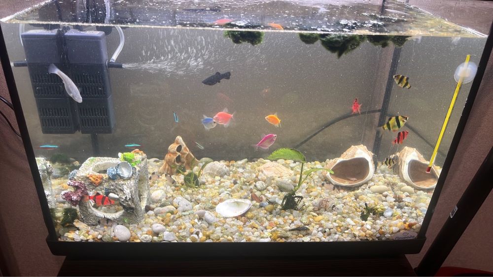 Продам аквариум на 55 литров