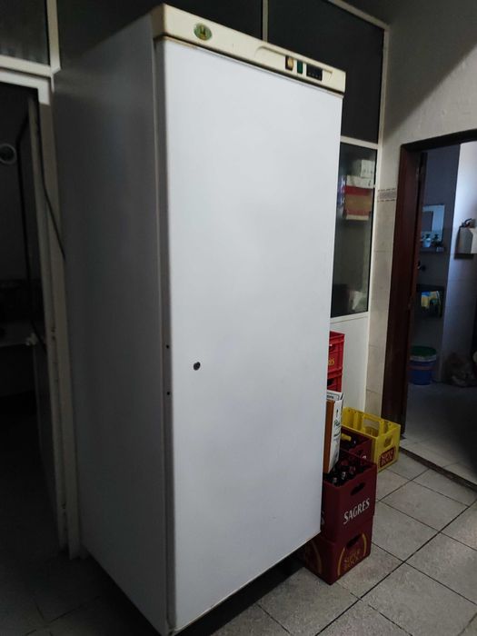 Arca Congeladora Vertical