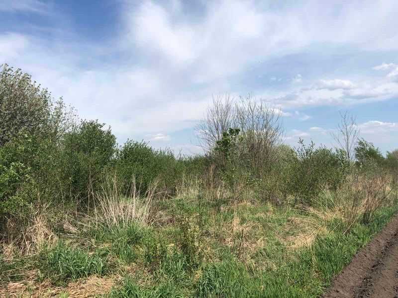 Оренда ділянки не с/г 6,61га с. Сапіжанка