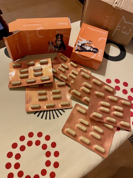 Hepavetsil  - Alimento de suporte ao metabolismo hepatico para animais