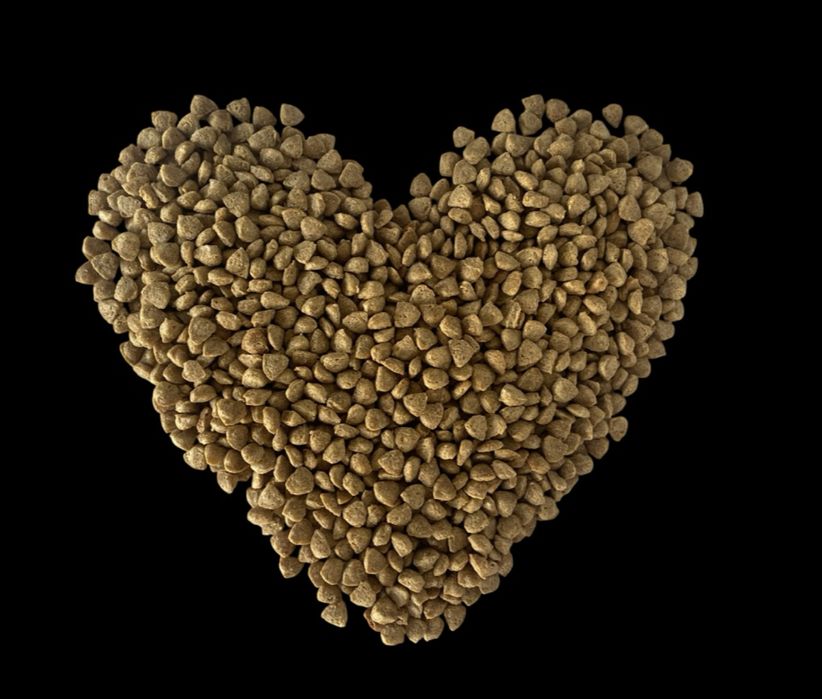 Корм для котів та собак, власного виробництва в Кривому Розі