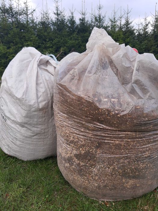 Zrębki iglaste ściółka drobne