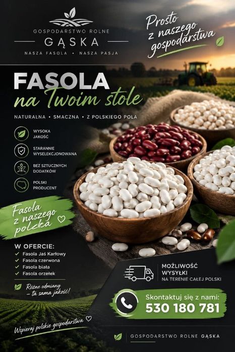 Fasola jaś tyczka