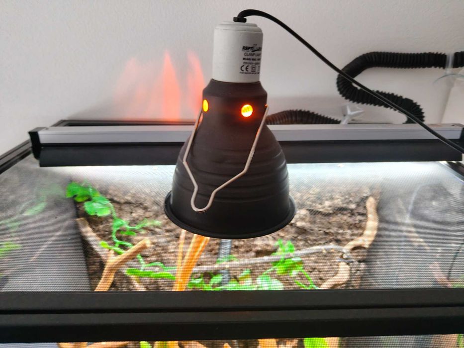 Terrarium dla kameleona