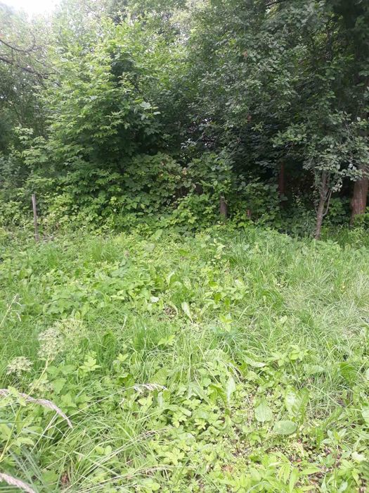 Участок в Подгорцах 4.5сотки рядом с Киевом