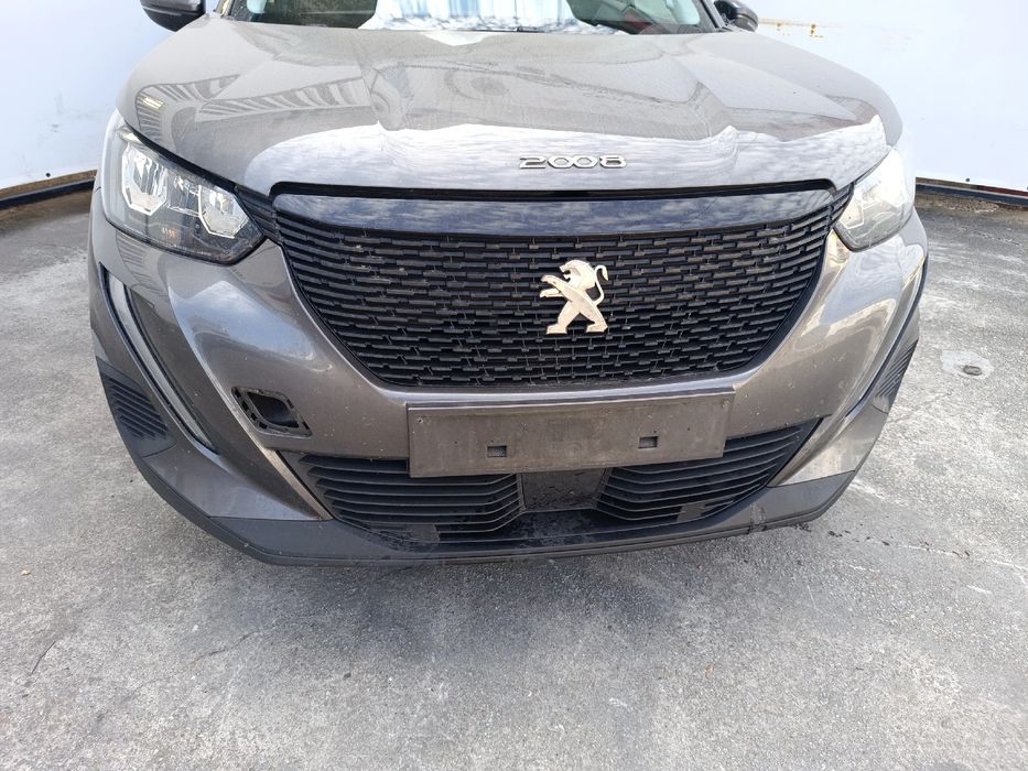 Frente completa PEUGEOT 2008 II (U_)