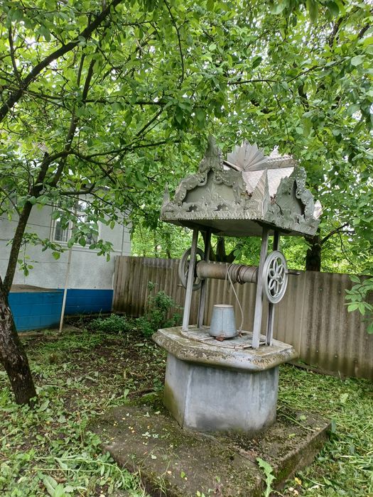 Продається господарство в Дністровському районі