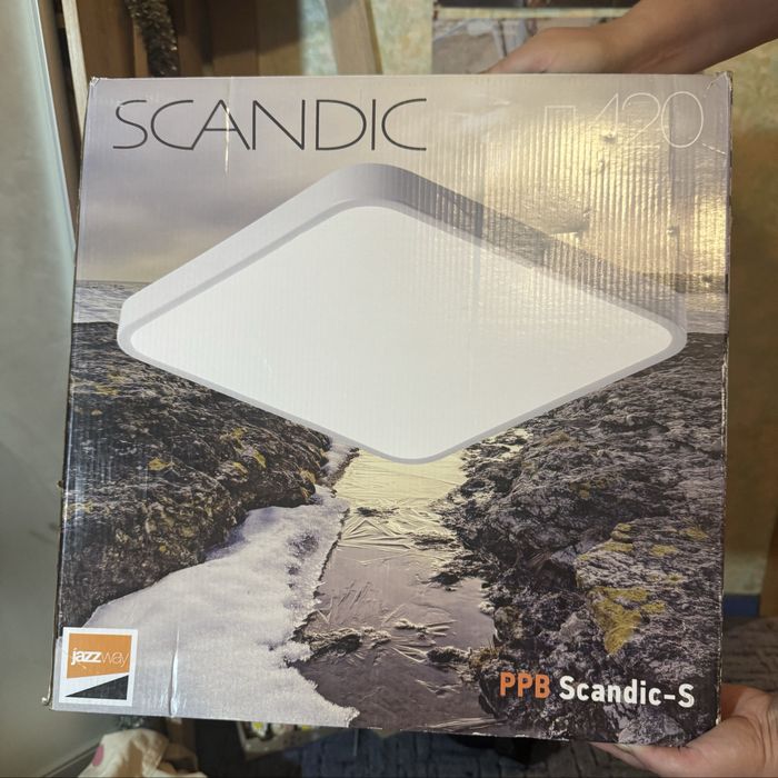 лампа для потолка Scandic