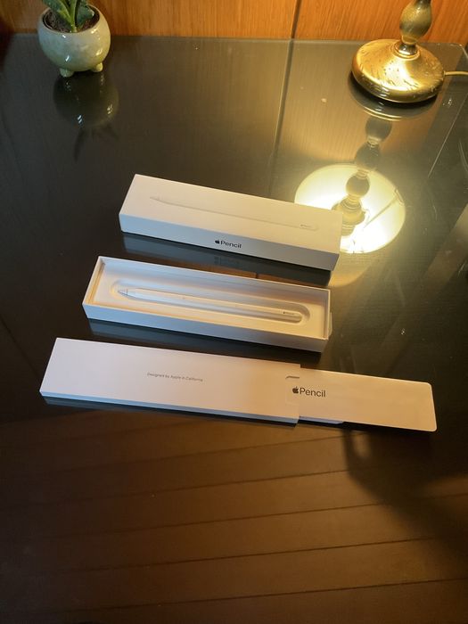 Apple Pencil 2ª Geração – Excelente Estado