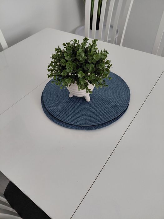 Stół z krzesłami Forte