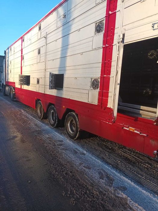 Напівпричіп для перевезення худоби - скотовоз