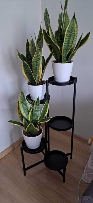 Kwietnik stojak na kwiaty rośliny METALOWY 5 półek stojący CZARNY NOWY