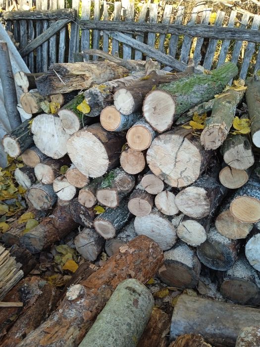 Drewno opałowe sprzedam