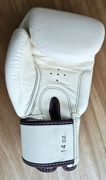 Luvas Fairtex BGV16 14Oz. (Pele Real) - Como Novas
