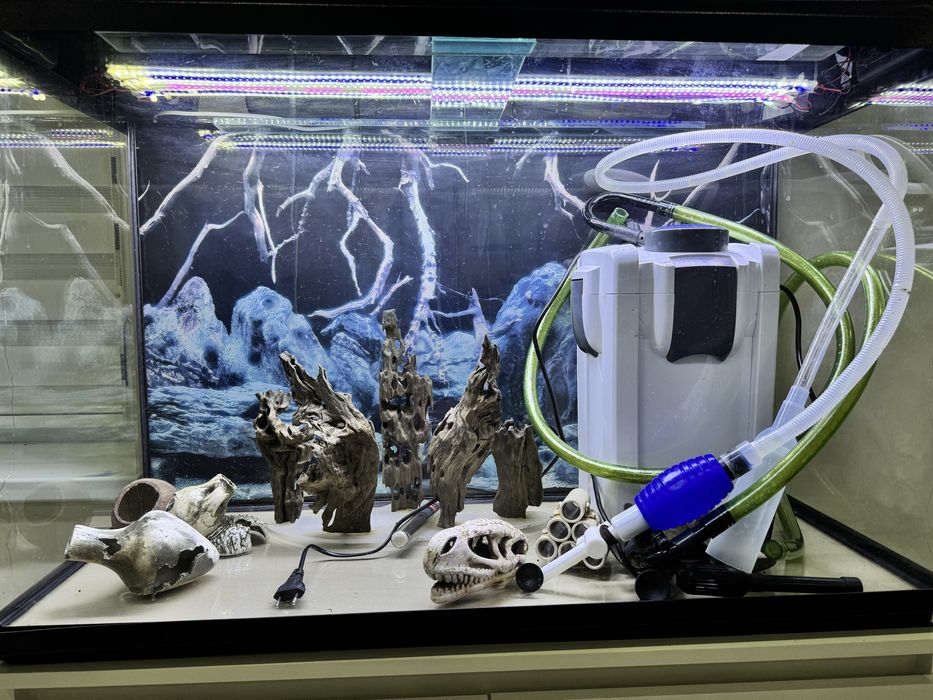 Аквариум 240л ,тумба,фильтр и т.д