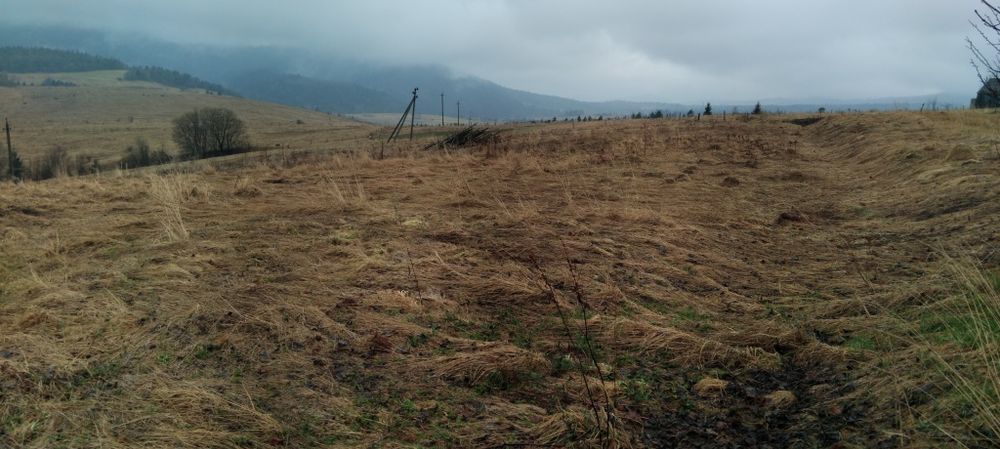 Продам 50 соток землі