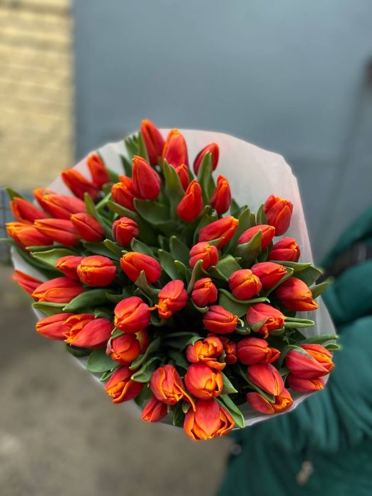 ХІТ! Український тюльпан / гурт опт / від 30 грн / висота до 50 см