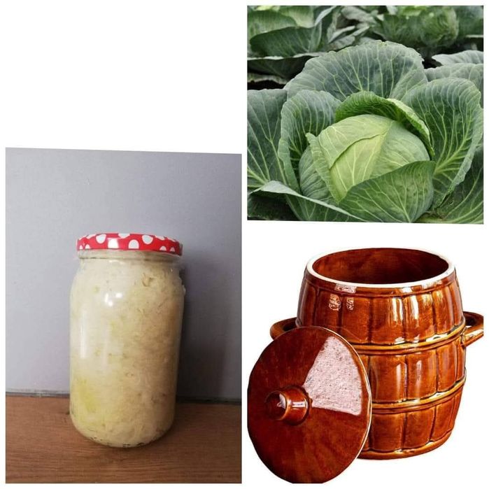 Swojska kapusta kiszona