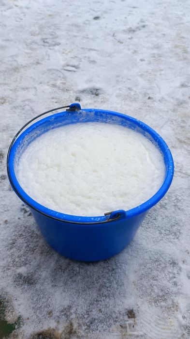 Продається корова після ростелу