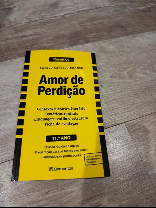 Amor de Perdição - Camilo Castelo Branco - Resumos