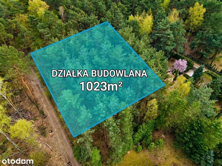 Tu las będzie Twoim sąsiadem|Wizualizacja - Widok 3