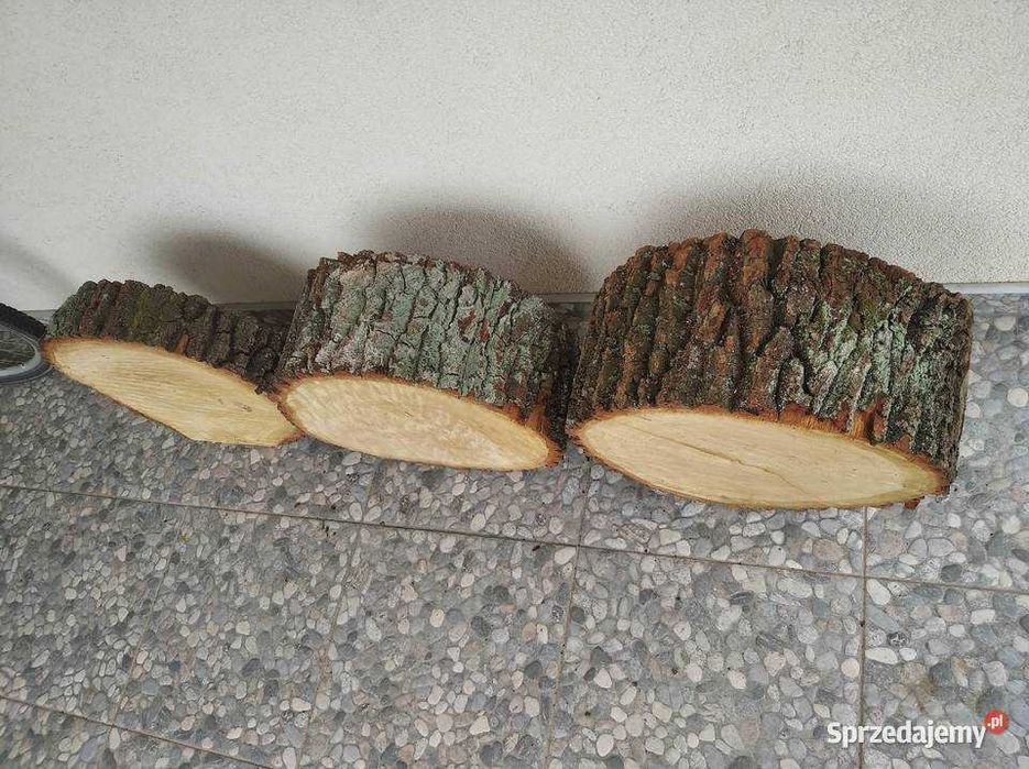 Dębowe plastry kręgi plaster dębowy drewna