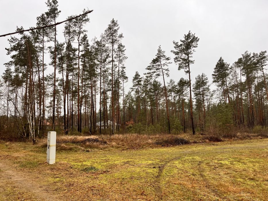 Działka leśna Ostrów Mazowicka