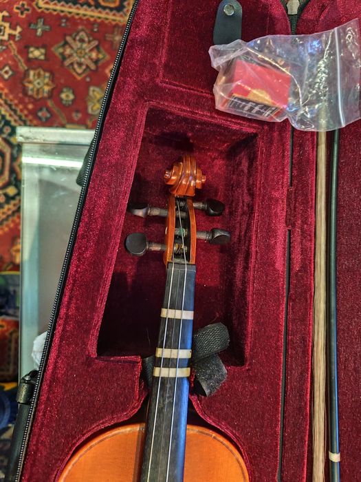 Skrzypce Roth & Junius z futerałem 1/2