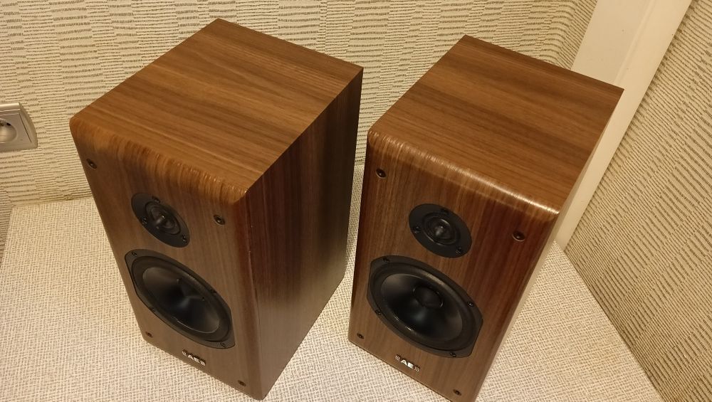 Kolumny Acoustic Energy Aegis Neo One Idealny stan.