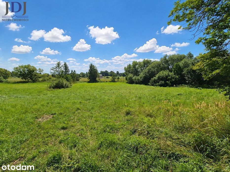 Działka 3600 m2. Łąka kl III. Wola Gródecka