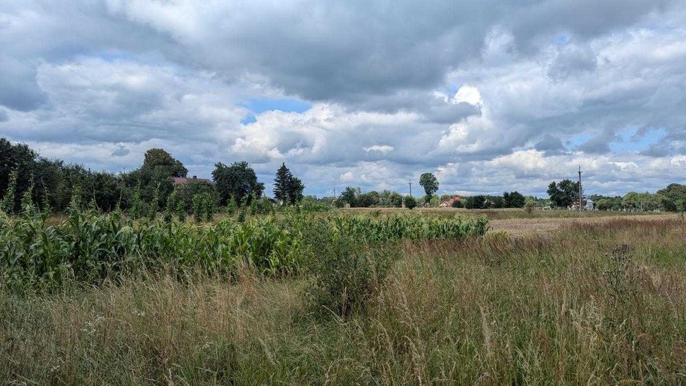 Продається ділянка під будівництво у с. Липівка(12)