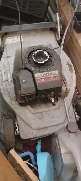 piła szablasta i inne