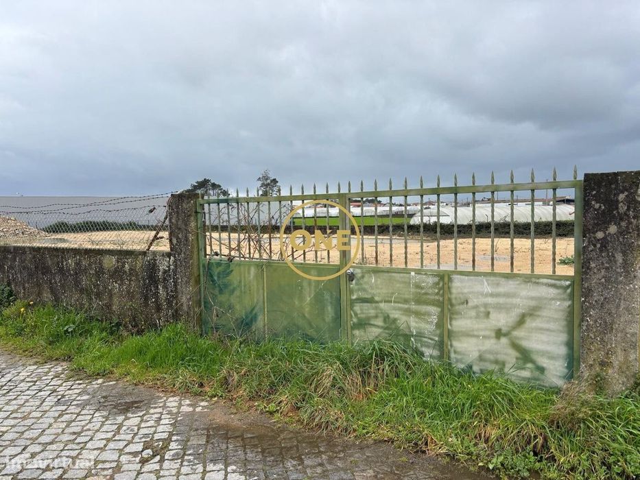 Terreno na Estela para Arrendamento