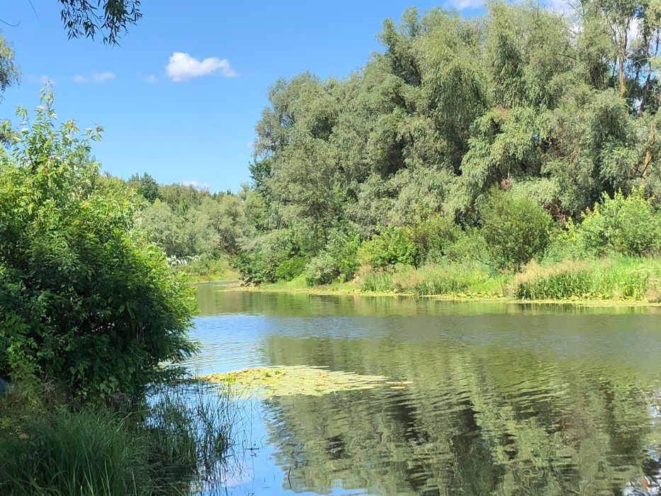 Продам видову ділянку 45 соток в Новосілках з власним озером